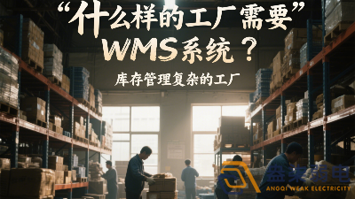 什么樣的工廠需要wms系統？